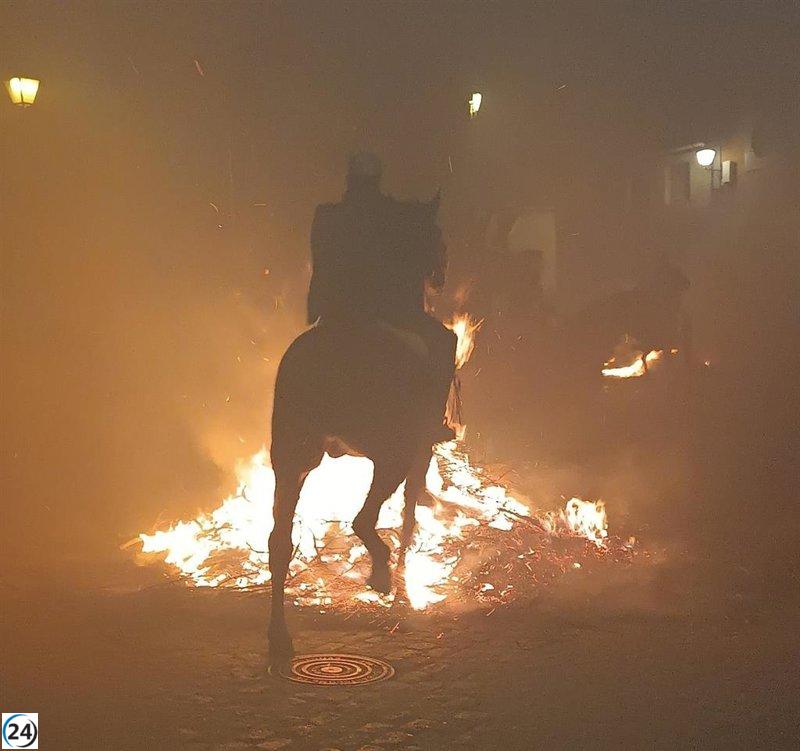 Las Luminarias vuelven a iluminar San Bartolomé de Pinares en honor a San Antón