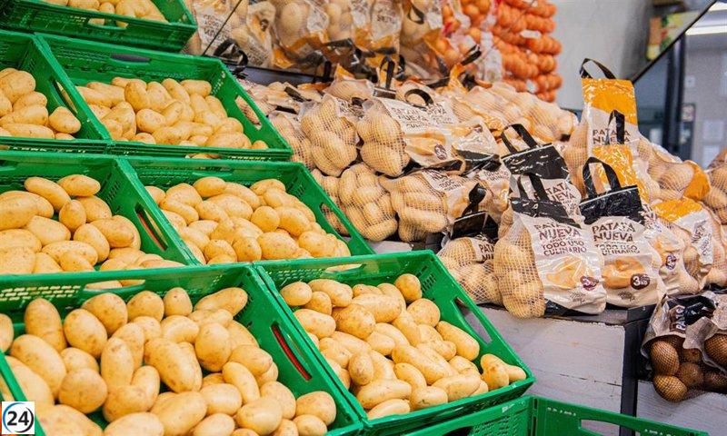 Mercadona apuesta por el cultivo nacional con la compra de 94.000 toneladas de patatas, 35.000 de Castilla y León.