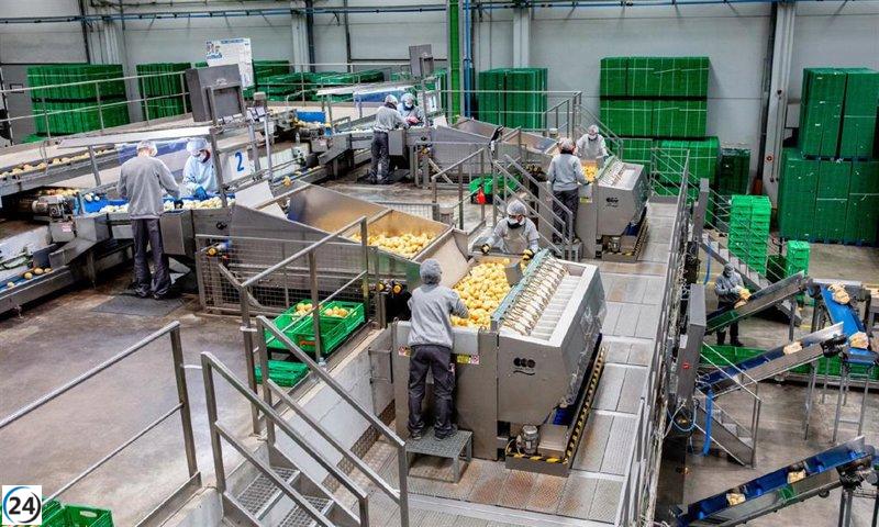 Mercadona incrementa sus compras a proveedores de Castilla y León en un 17,3%, llegando a los 2.470 millones de euros.