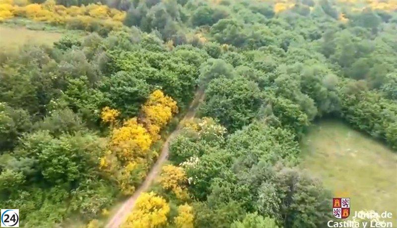 Anciano de 72 años desaparecido en ruta de Las Brañas, León.