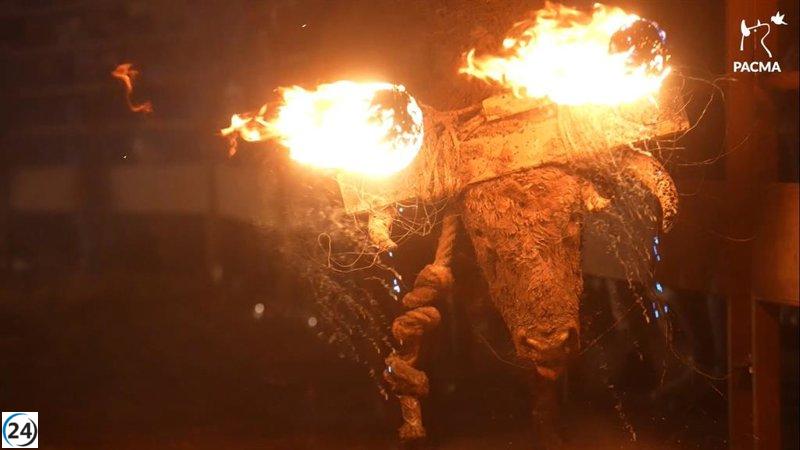 Santonja defiende la cultura de Medinaceli frente a las críticas a la protesta contra el Toro Jubilo.