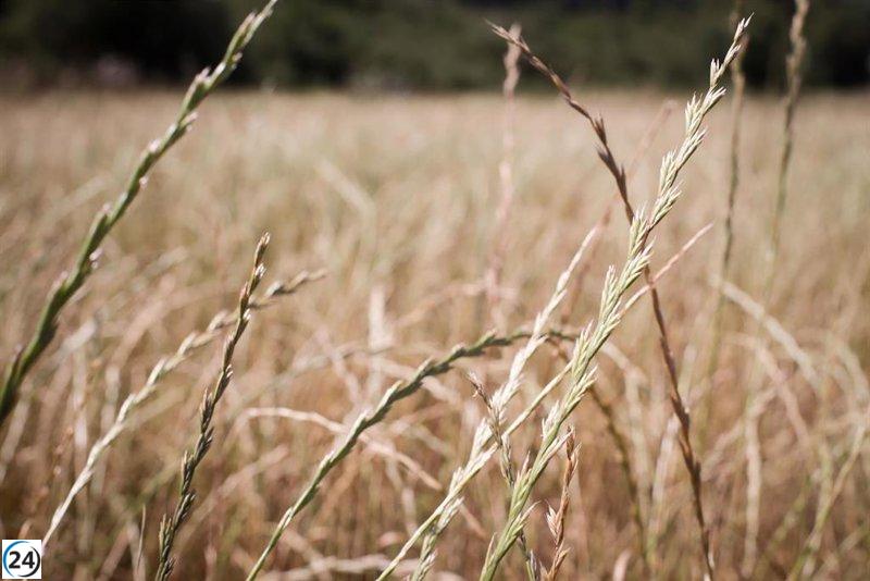 Agricultores de Arévalo exigen garantías para el sector cerealista.