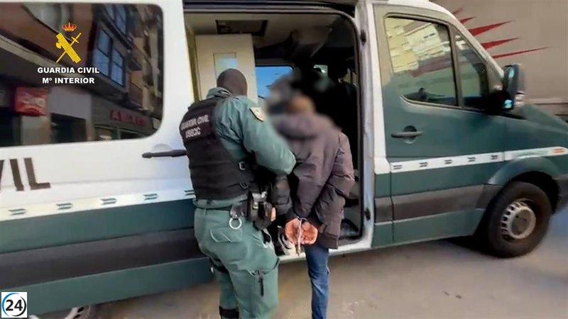 Desmantelada red de tráfico de mascotas en Colombia y España, con afectados en Castilla y León.