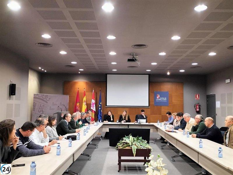 Cigales considera trampas y caza nocturna para controlar la proliferación de conejos, según Junta y OPAs.