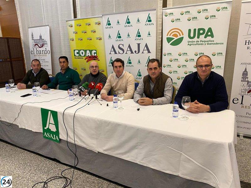 Apicultores amenazan con protestas ante el avance del Programa de Vigilancia Obligatoria del Gobierno.