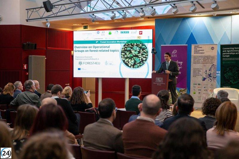 La Junta propone en Bruselas una estrategia innovadora para el sector forestal y la colaboración europea.