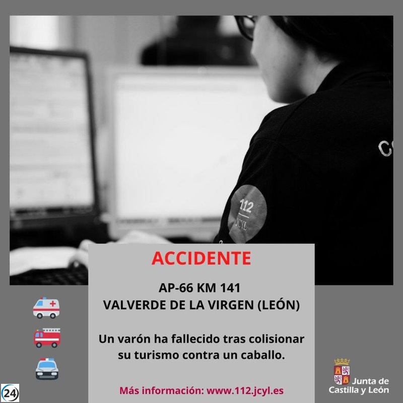 Fatal accidente en la AP-66: un conductor pierde la vida tras impactar con un caballo en Valverde de la Virgen.