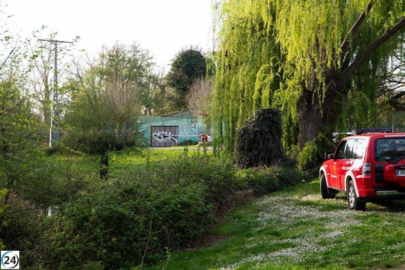 Reanudan la búsqueda del joven extraviado durante su baño en el río Carrión.