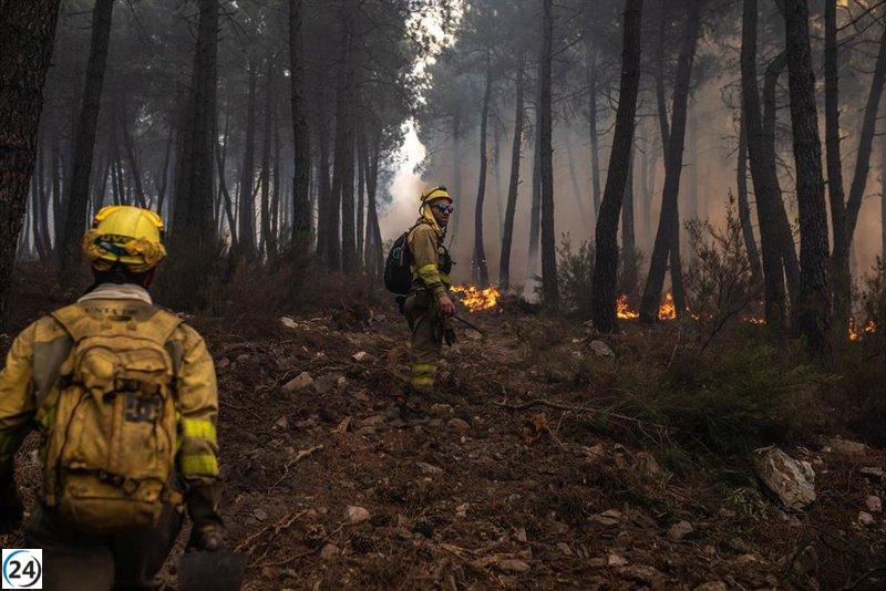 CyL y Portugal colaboran para fortalecer áreas naturales contra incendios.