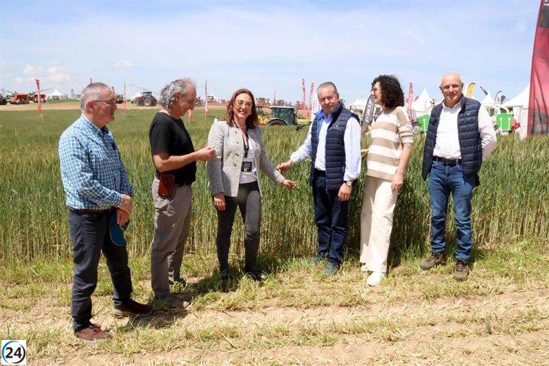 Las OPAs anticipan una cosecha fructífera como en 2020, pero las ganancias se ven afectadas por los precios del cereal.