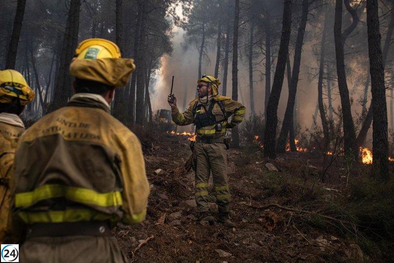 La Junta y Red Eléctrica extienden su alianza para la lucha contra incendios hasta 2029.