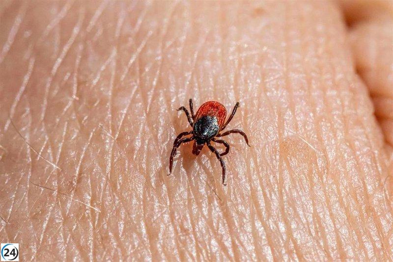 Salamanca reporta un caso confirmado de fiebre hemorrágica de Crimea-Congo.