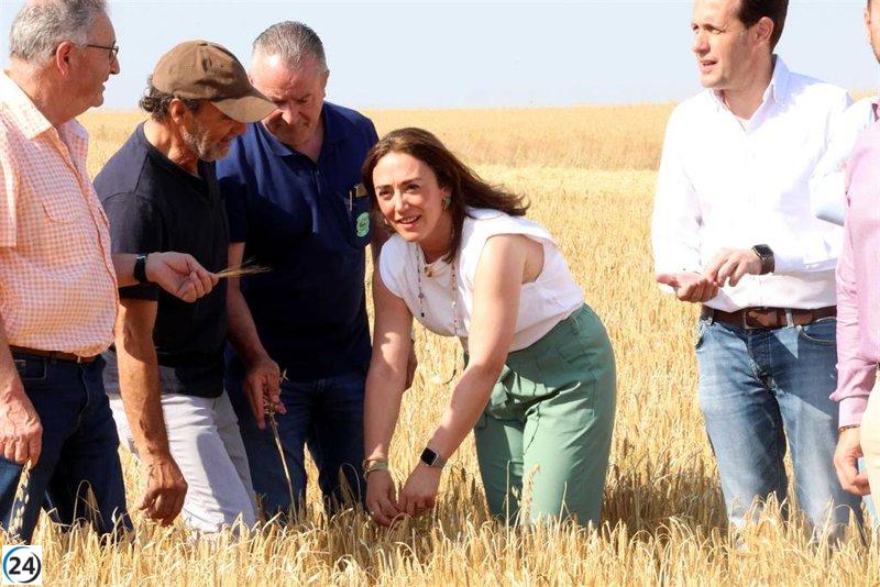 Castilla y León alcanzará una cosecha histórica de 8,12 millones de toneladas.