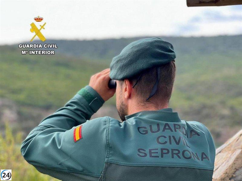 IGC alerta sobre la falta de personal en el Seprona en Castilla y León, lo que dificulta una respuesta efectiva.