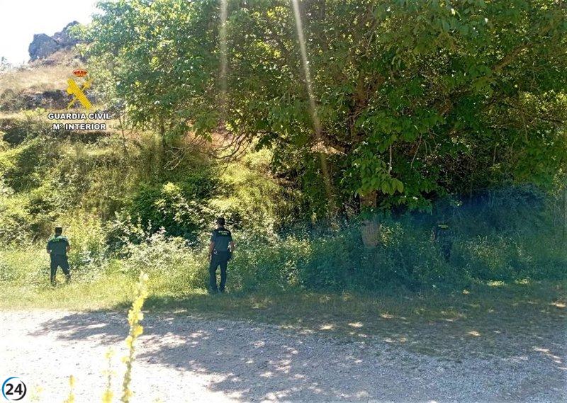 Desaparecido desde el lunes: intensas búsquedas en el mirador de Vegamián, Boñar.