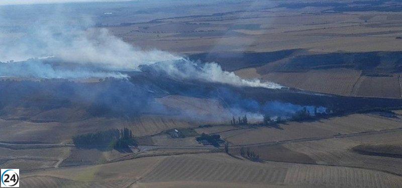 Incendio en Castrodeza (Valladolid) sofocado tras arrasar más de 40 hectáreas agrícolas.