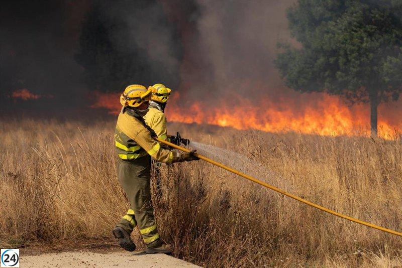 Expertos advierten sobre la dificultad de combatir el incendio en Molezuelas debido a condiciones climáticas inestables.