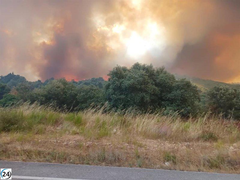 Catorce incendios activos en Castilla y León, cinco de ellos en alerta máxima en Zamora, Palencia y León.