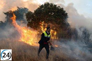 Cuatro de siete heridos por quemaduras en incendios en León y Zamora se encuentran en estado crítico.
