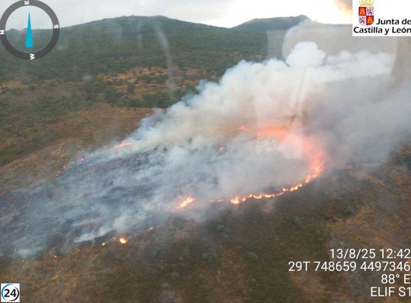 Incendio forestal en La Bastida (Salamanca) extinguido con éxito.