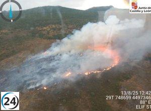 Incendio forestal en La Bastida (Salamanca) extinguido con éxito.