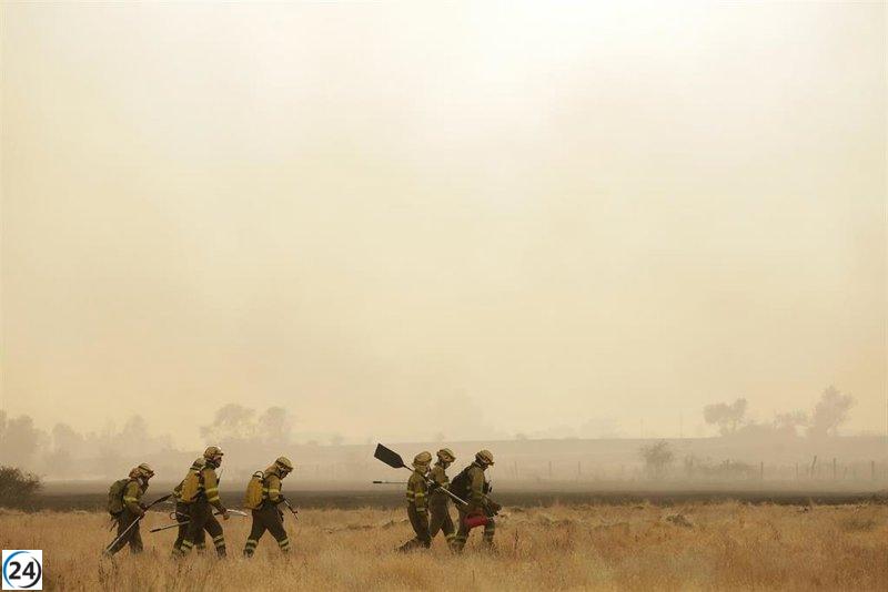 Dieciséis incendios activos en Castilla y León, seis de ellos en riesgo elevado en Zamora, Palencia y León.
