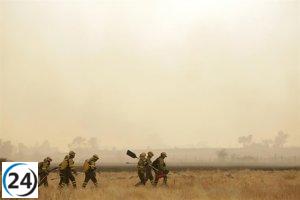 Dieciséis incendios activos en Castilla y León, seis de ellos en riesgo elevado en Zamora, Palencia y León.