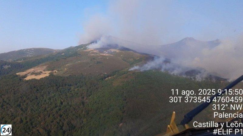 La lluvia alivia el incendio en Resoba (Palencia) y dos pueblos levantan el confinamiento.