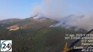 La lluvia alivia el incendio en Resoba (Palencia) y dos pueblos levantan el confinamiento.