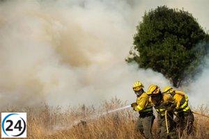 Zamora enfrenta un devastador incendio que consume más de 11.000 hectáreas desde el domingo.