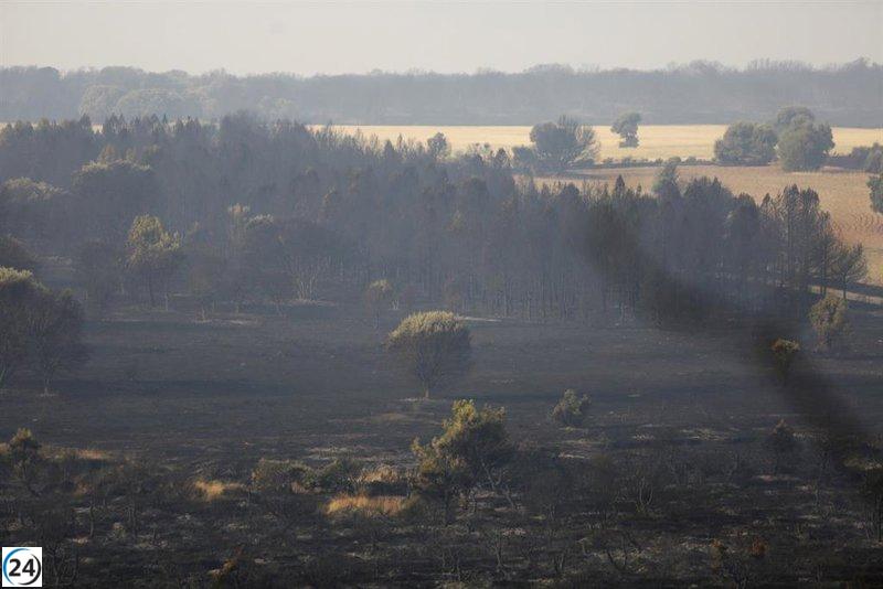 Castilla y León enfrenta 18 incendios activos, con un alto riesgo en nueve focos.