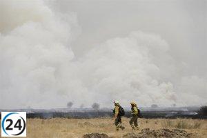 Incendio en Molezuelas muestra mejoría tras controlar reavivaciones nocturnas.