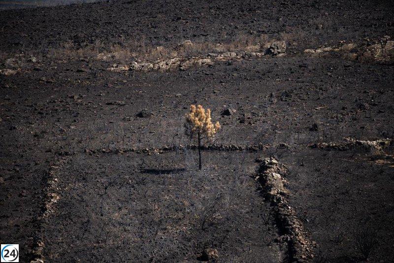 Incendios de Molezuelas y Puercas controlados; habitantes de Castromil pueden regresar a casa.