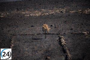 Incendios de Molezuelas y Puercas controlados; habitantes de Castromil pueden regresar a casa.