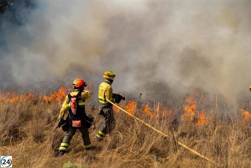 Se activa nivel 2 de emergencia por incendio en Canalejas, Almanza (León).