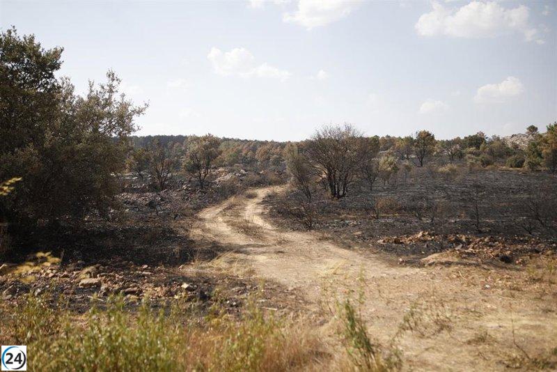 El Cecopi de Zamora informa sobre la reducción a gravedad 1 de los incendios en Castromil y Molezuelas.