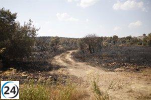 El Cecopi de Zamora informa sobre la reducción a gravedad 1 de los incendios en Castromil y Molezuelas.