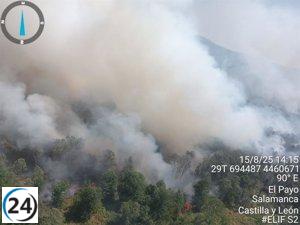 Viento y altas temperaturas avivan incendios en Cipérez y El Payo, Salamanca