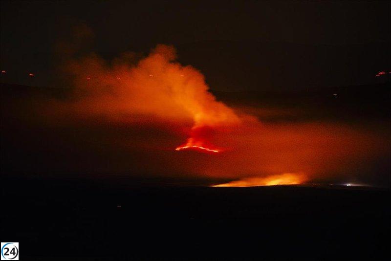 Castilla y León enfrenta más de 20 incendios activos, con doce en nivel 2 de gravedad y ocho en nivel 1.