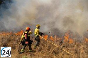 Acciones directas para combatir el extenso incendio en Porto, Zamora