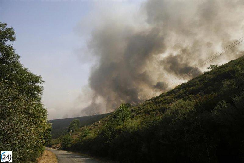 Tres de seis personas afectadas por los incendios en Zamora y León están en estado crítico, mientras que otras tres se encuentran en situación grave.