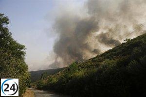 Tres de seis personas afectadas por los incendios en Zamora y León están en estado crítico, mientras que otras tres se encuentran en situación grave.