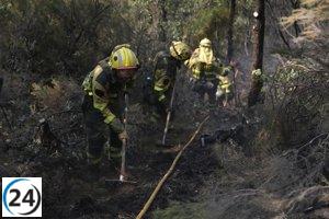 La mejoría climática impulsa las labores de extinción en CyL, que enfrenta cerca de 30 incendios, ocho de ellos graves.
