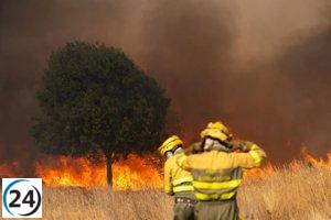 La oposición unida exige la comparecencia de Mañueco por los incendios, mientras el PP aboga por la colaboración.