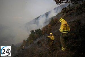 Mejora en Castilla y León: 25 incendios, incluyendo 7 de intensidad alta y varios de baja.