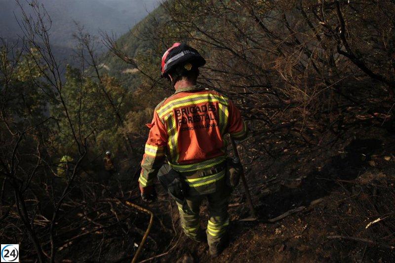 ADIF planea reanudar la conexión FEVE entre León y Bilbao tras arreglar las traviesas dañadas.