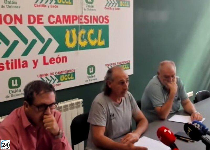 UCCL exige rendición de cuentas por las 150.000 hectáreas arrasadas en CyL y propone una Mesa de Seguimiento y Reparación.