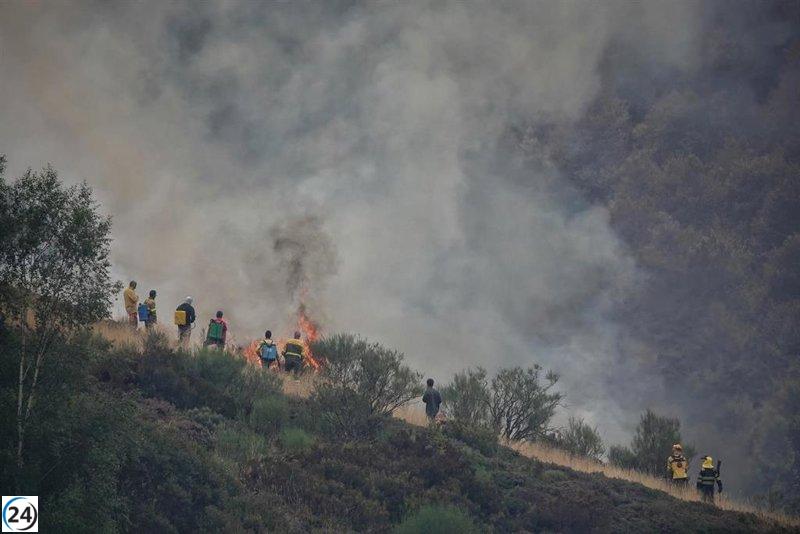Crisis en Castilla y León: 253 incendios reportados en agosto, con 37 provocados intencionadamente.
