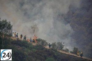 Crisis en Castilla y León: 253 incendios reportados en agosto, con 37 provocados intencionadamente.