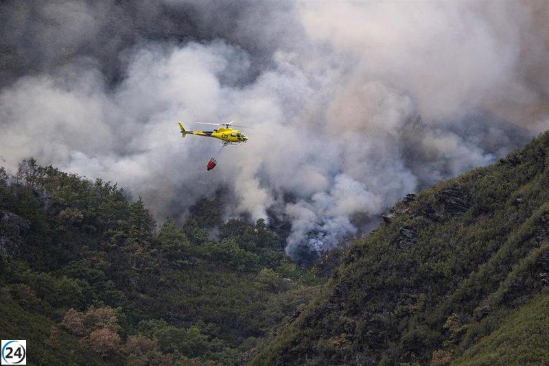 El incendio de Gestoso-Oencia en León se estabiliza tras una noche sin llamas.